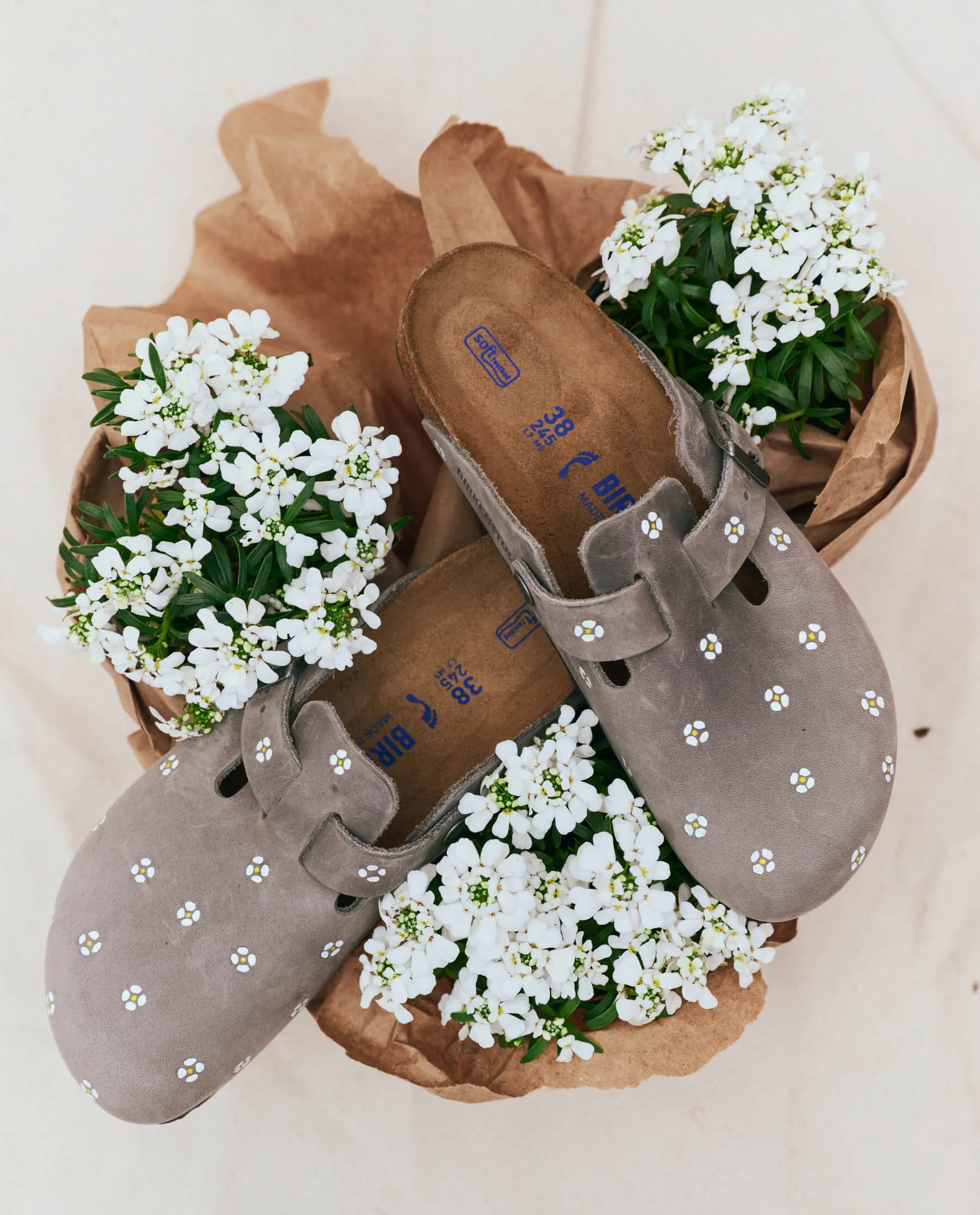 BIRKENSTOCK Boston with Hand Painted Tooled Daisy. -- Iron Oiled Leather with Cream