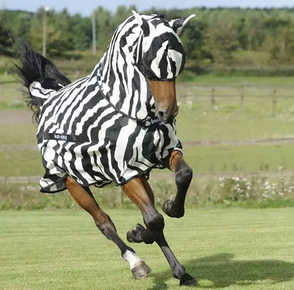 Bucas Buzz Off Zebra Fly Mask 