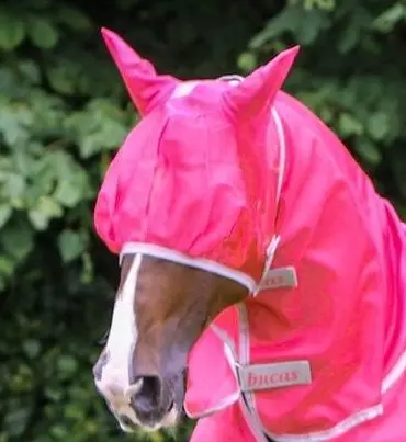 Bucas Freedom Fly Mask 