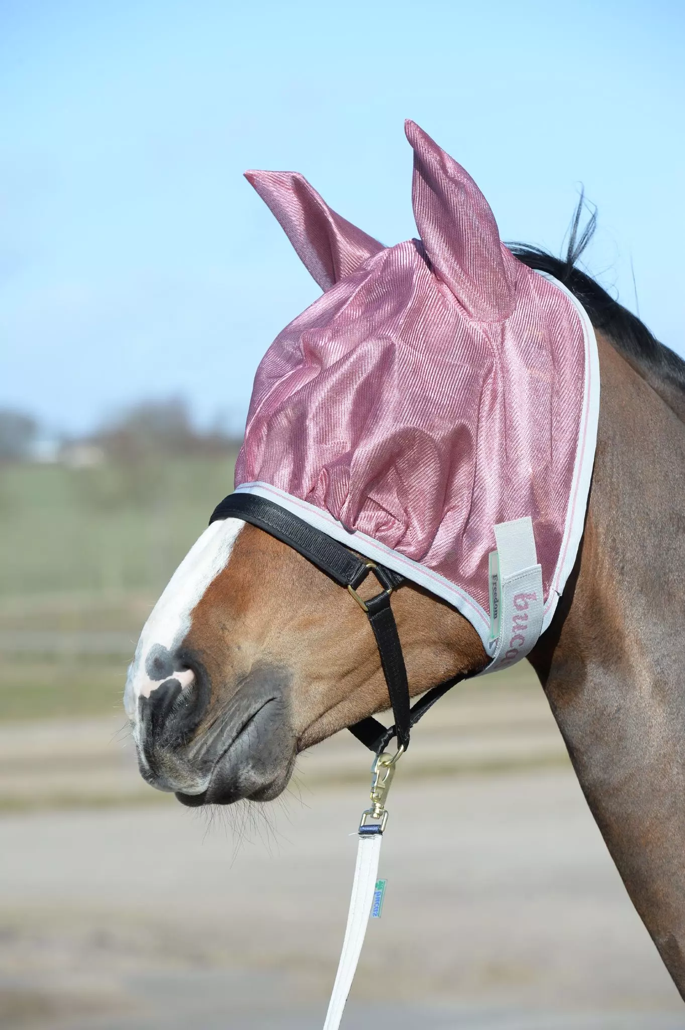 Bucas Freedom Fly Mask 