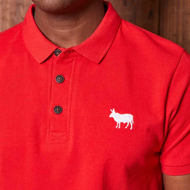 Classic Kingsley Heath PK Polo Starfish