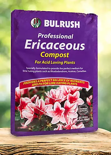 Ericaceous Compost 60L Bag | Kaleidoscope