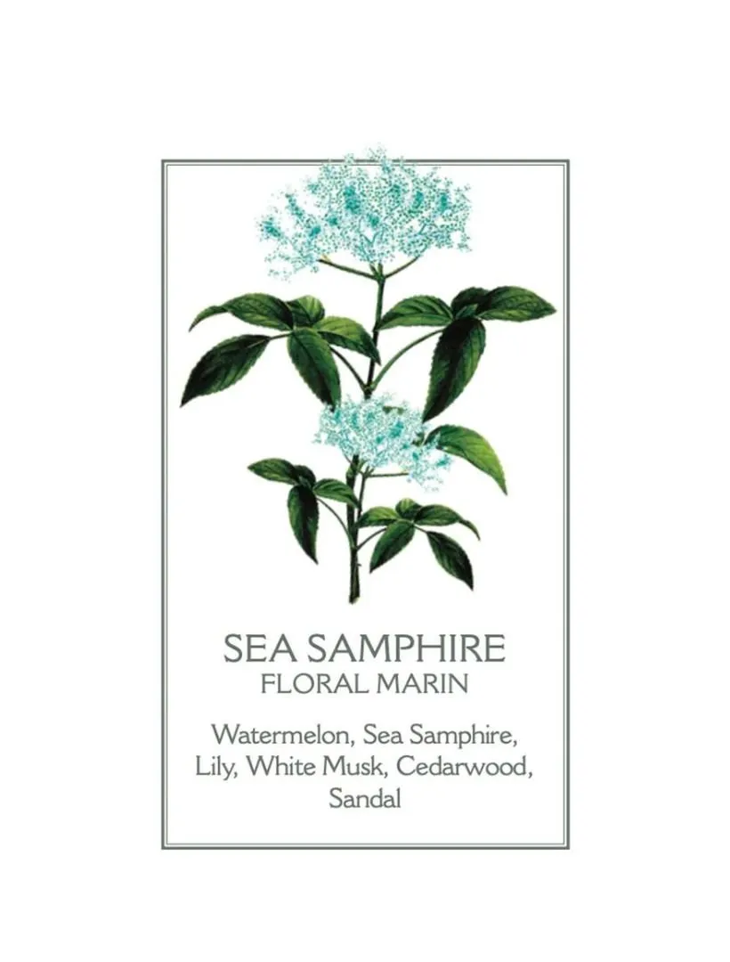 Sea Samphire Hand & Body Wash 500ml